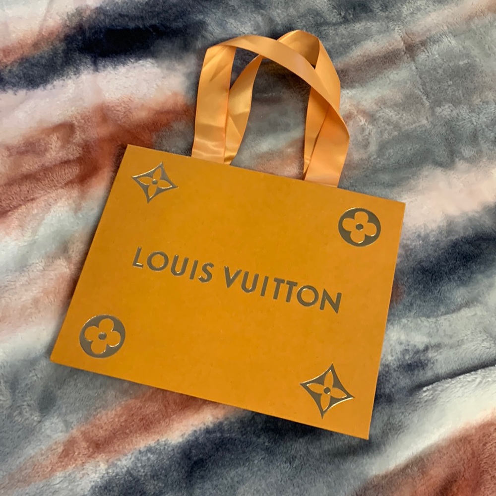 Louis Vuitton paper  bag